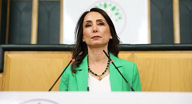 DEM Parti'li Hatimoğulları: Silahsızlanma sürecinin başarıyla sonuçlanması için koşulların sağlanması elzemdir