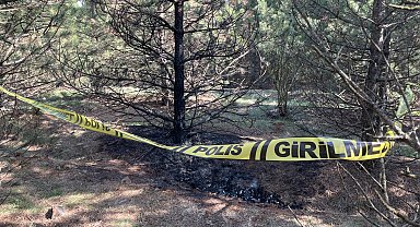 Deniz, ormanda yakılarak öldürüldü