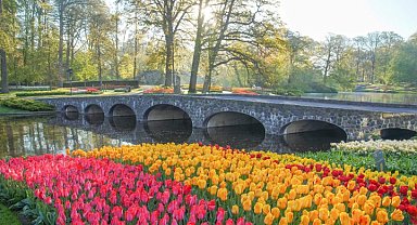 Dünyanın en büyük lale bahçelerinden 'Keukenhof' ziyarete açıldı