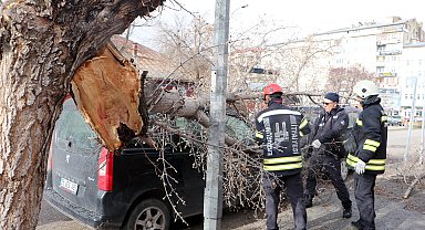 Erzurum'da fırtına; çatılar ve tabelalar uçtu, ağaçlar devrildi