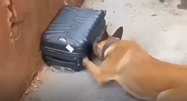 Gaziantep'te uyuşturucu operasyonunda 3 tutuklama