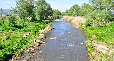 Gediz Nehri'nde bitmeyen kirlilik
