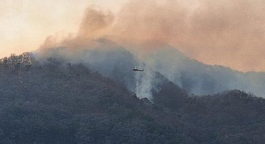 Güney Kore'de orman yangını nedeniyle tahliye karar verildi