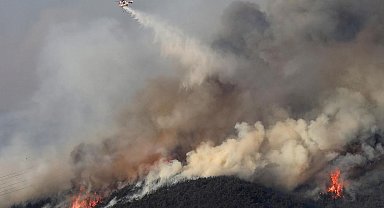 Güney Kore'de orman yangınlarında 104 bin hektar alan zarar gördü