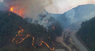 Güney Kore'de yangın söndürme helikopteri düştü: 1 ölü