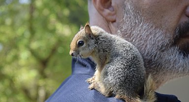 Hayvan kreşindeki yavrulara anne şefkati