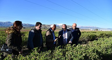Isparta'da 'zirai don' etkisi; elma, gül, kiraz ve kayısıda kayıp büyük