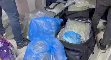 İstanbul- Petshopa uyuşturucu operasyonu: 4 gözaltı