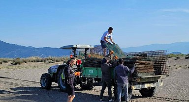 İztuzu'nda 2025 yuvalama sezonu hazırlıkları başladı