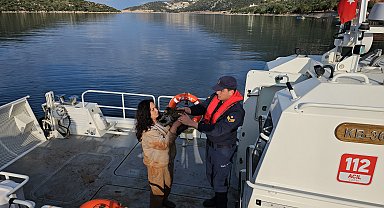 Kaçak göçmen, yanında kedisiyle yakalandı