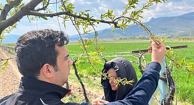 Kar yağışı fındıkta rekolte endişesine neden oldu, zirai don meyve bahçelerini vurdu