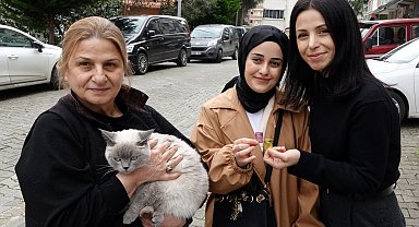 Kayıp kedisi 'Badem'i bulanı altınla ödüllendirdi