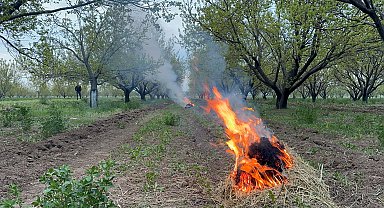 Kayısı üreticilerinden zirai dona karşı 'bahçede ateş' önlemi