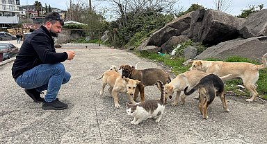 Kedi ve köpekler birlikte karnını doyuruyor