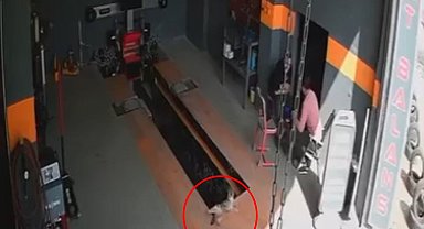 Kedinin raylı kanal krikosuna düştüğü an kamerada