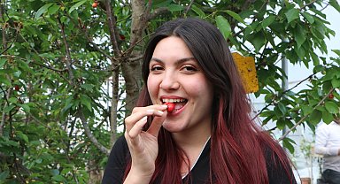 Kiraz Çukurova'ya alternatif ürün oldu; dondan yüzde 30 etkilendi