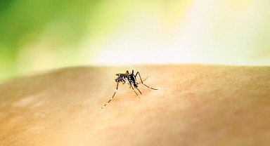 Kolombiya Cumhurbaşkanı Petro'dan 'sarıhumma aşısı' çağrısı