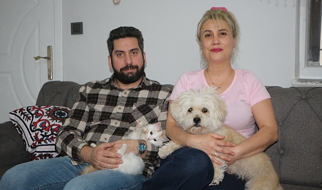 Köpek yavru kediye annelik yapıyor
