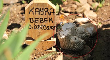 Kürtajla alınan cenin için 'kaçak defin' soruşturması