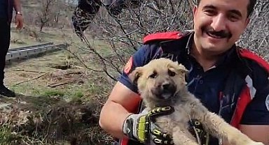 Kuyuya düşen yavru köpek, itfaiye tarafından kurtarıldı