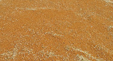 Mardin'de 137 bin tonluk buğday vurgununda 9 tutuklama