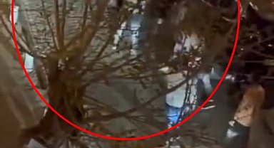 Mardin'de tekmeli, yumruklu kavga kamerada