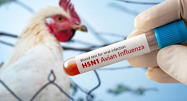 Meksika'da 'H5N1' kaynaklı ilk ölüm