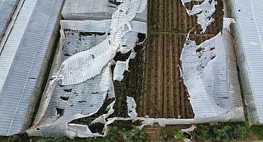 Mersin'de seraları hortum vurdu
