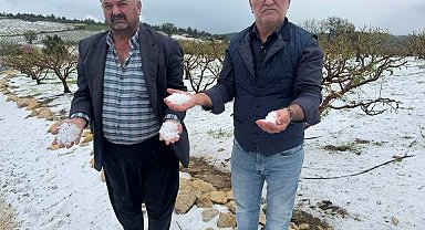 Mersin'de tarım ürünlerini dondan sonra dolu vurdu