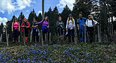 Mor yaylada yürüyüş