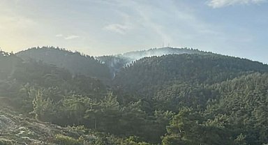 Muğla'da ormanlara giriş 1 Mayıs'tan itibaren yasak