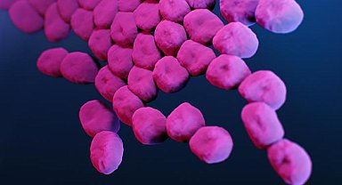 Ölümcül antibiyotik dirençli 'süper bakteri' tespit edildi