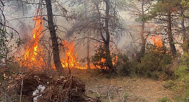 Orman yakan 2 kardeşe 4 milyon 600 TL para cezası