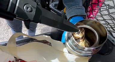 Otobüsteki yolcunun termosundan yarım kilo bonzai ham maddesi çıktı