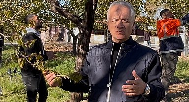 Özköse: Zirai don kayısı bahçelerini vurdu, üreticimizin yanındayız