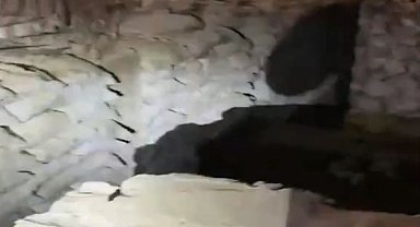 Pençe Kilit bölgesinde tespit edilen mağara kullanılamaz hale getirildi