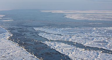 Rusya, Norveç, İsveç ve Finlandiya ile Barents Denizi'nde iş birliği anlaşmasını feshetti