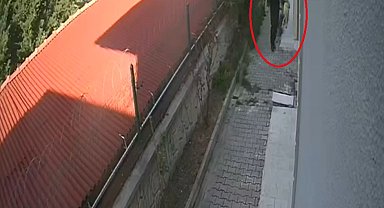 Sahiplendiği köpekleri evde parçalayıp, öldürdüğü iddia edilen doktor tutuklandı; vahşetin bir bölümü kamerada