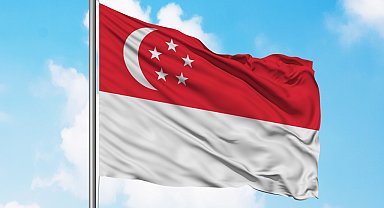 Singapur Cumhurbaşkanı, parlamentoyu feshetti