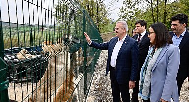 Sokak hayvanlarına 51 ilde doğal yaşam alanları