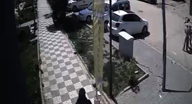 Sokak köpekleri, anne ile kızına saldırdı