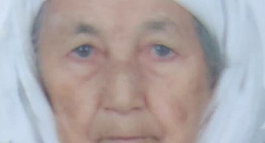 Su kuyusuna düşen kadın öldü