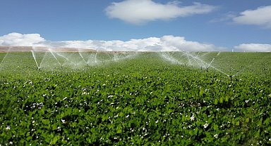 Sukkar Şeker, 1 milyar 617 milyon TL pancar bedeli ödedi