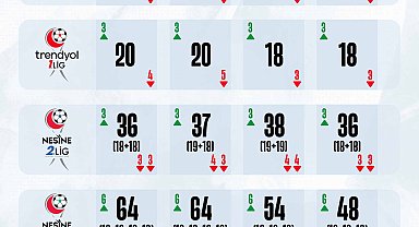 TFF, 139 olan profesyonel takım sayısını 3 yıl içerisinde 120'ye düşürecek
