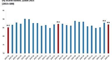 TÜİK: Dış ticaret haddi şubatta azaldı