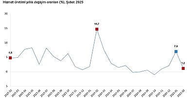 TÜİK: Hizmet üretimi yıllık yüzde 1,2 arttı