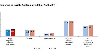 TÜİK: Türkiye'nin aktif yaşlanma endeksi 29,7 oldu