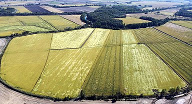 Tunca Nehri'nde yatak temizliği yapılıp, su biriktirme alanları oluşturuluyor