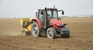 Turfanda patates deposu Niğde'de ekim alanları azaldı