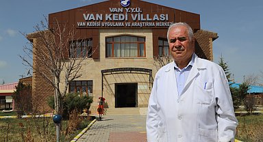 Van Kedi Villası'nda yılın ilk yavruları dünyaya geldi